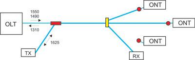 Измерение оптических потерь в активной PON сети: схема